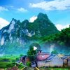 开心！的头像