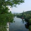 和平的头像