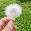 清欣怡人的头像