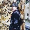 清静的风的头像