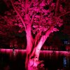 俊倩轩的头像