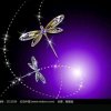 锦歌诗语【家族文秘】（暂离）的头像