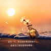 浅笑安然的头像