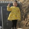田野里的狼的头像