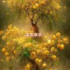 往后余生的头像