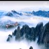 阳光的头像
