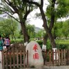 往事如烟的头像
