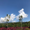 强歌学院建军的头像