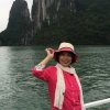 冬梅的头像