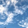 老石岐歌声的头像