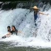 丽苹的头像