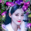꧁红颜为谁醉꧂的头像