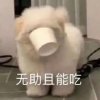 脑袋瓜子不能吃的头像