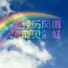 雨后的彩虹的头像