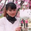 水仙花(零压力听歌，三免)的头像