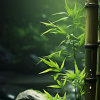 蓦然回首的头像