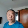 空中百灵鸟的头像