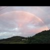 腊梅的头像
