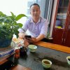 以和为贵的头像