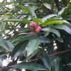 随缘的头像
