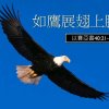 王女Esther的头像
