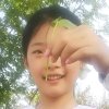 A我心飞翔的头像