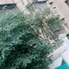 彩云之间的头像