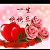 随缘的头像