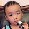 窈窈灵的头像