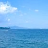 淡云流水的头像