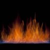 烈焰的头像