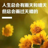 荆棘流星（闭）的头像