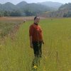 王凤书的头像