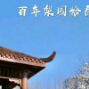 小刘的头像
