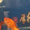 快乐人生的头像