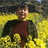 春暖花开的头像