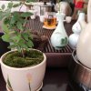 qay的头像