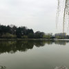 佛心【暂退】的头像