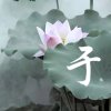 真诚厚爱的头像