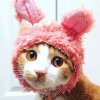 BORING. J的头像