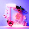 ⁵²⁰ꕥ᭄ꦿ芳ꫛꫀꪝ的头像