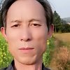 元中元的头像