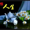 云飞《有事暂离》的头像
