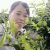 雨中漫步《暂停》的头像