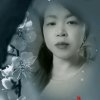 人生如梦的头像