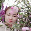 风景的头像
