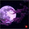 明月的头像