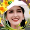七彩球的头像