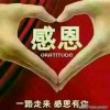 红尘绝恋的头像