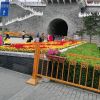:蜓的头像